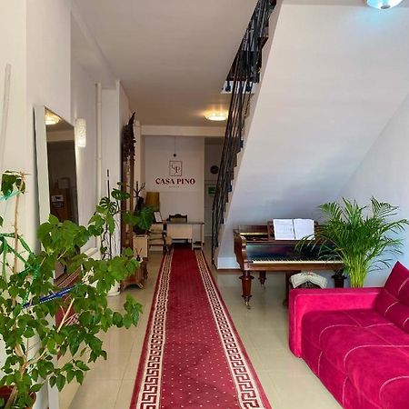 Casa Pino Braşov Exterior foto
